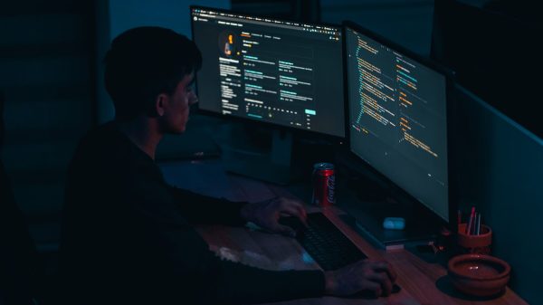 developer
